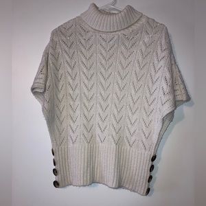 Vanity turtleneck sleeveless sweater